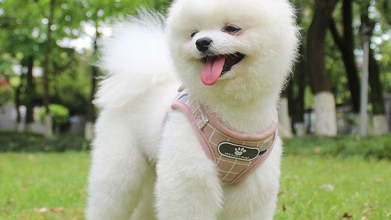 气调库冷风机选型：关键指标与误区解析**